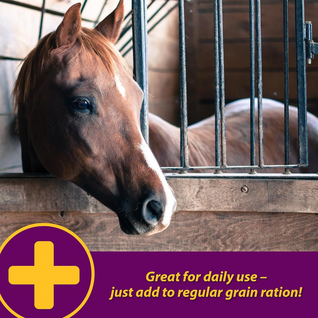 Horse Health Apple-Dex Apple Flavored Electrolytes Powder for Horses, 30 pounds
