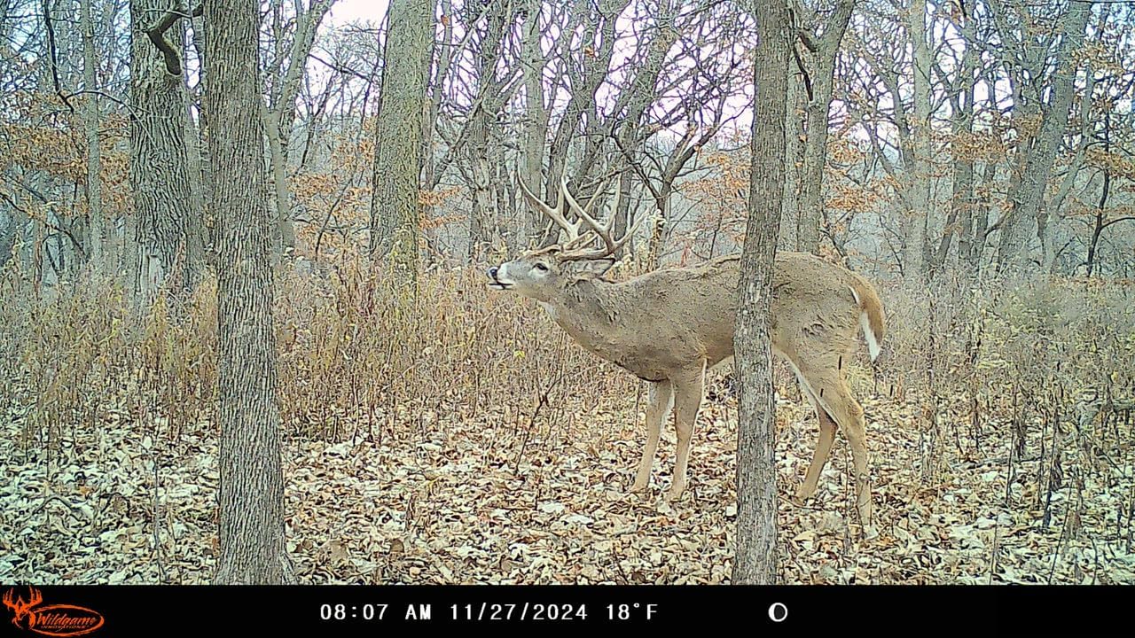 Insite-V Cellular Trail Camera 32 MP, 80ft Detection