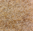 Natural Sponges - 10 Pack Biodegradable Compostable Cellulose and Coconut Natural Sponges for Dishes, Eco Friendly