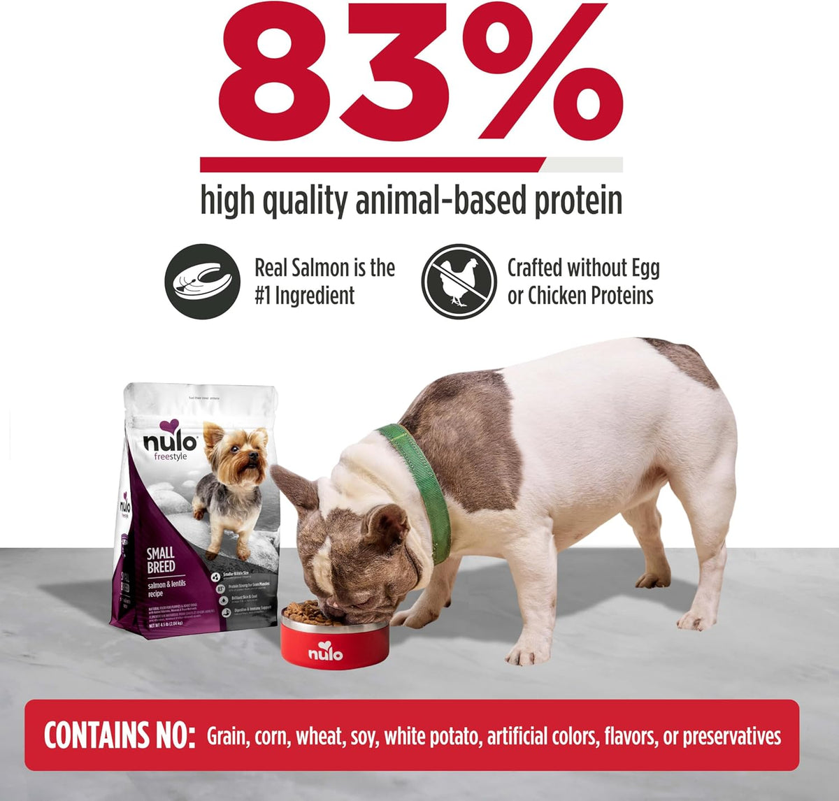 FreeStyle Small Breed Dog Food Dry - Salmon & Lentils, Puppy & Adult Grain Free Dog Food, Natural, High Protein