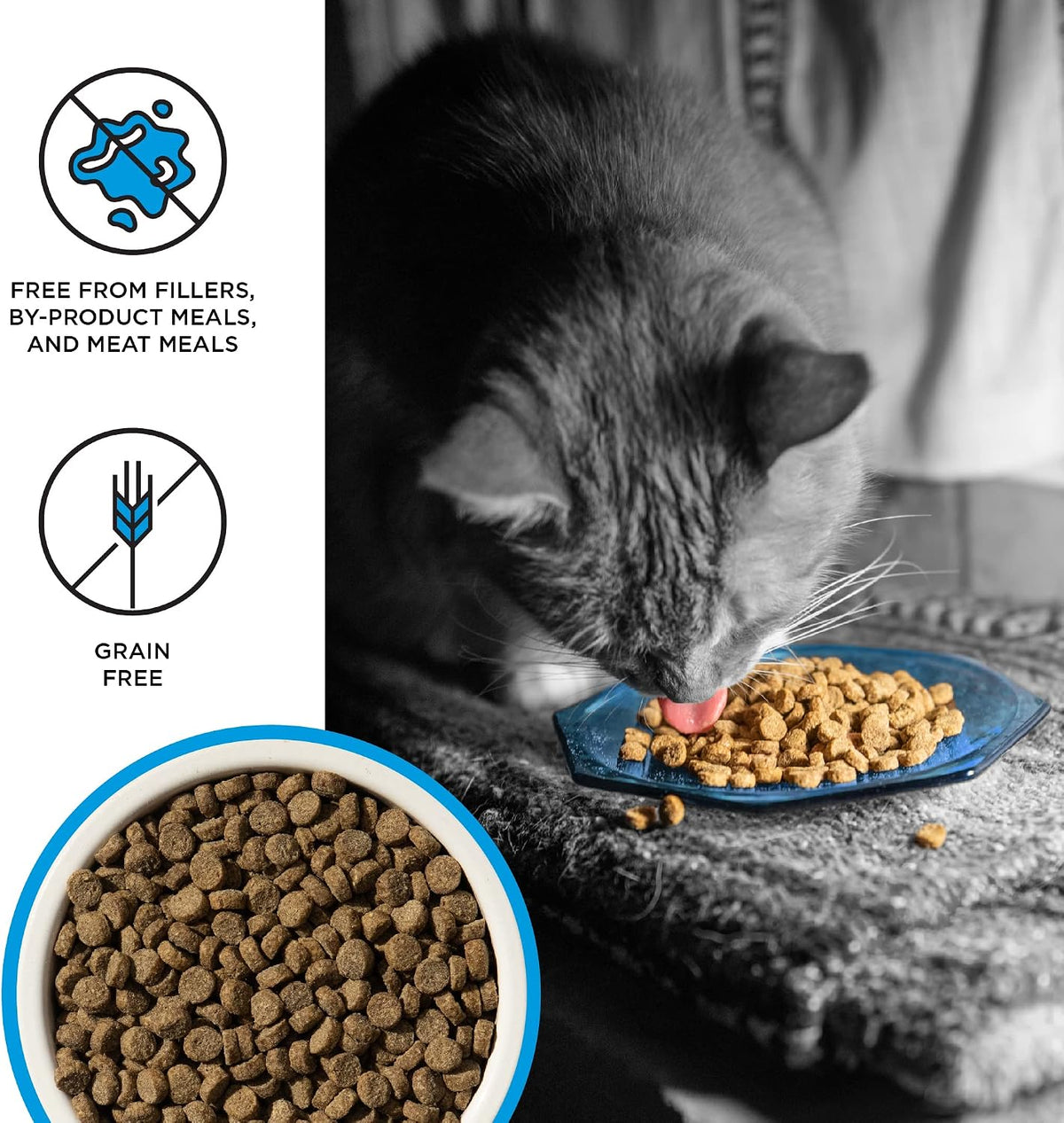 Liberty Dry Food Salmon Recipe for Cats, 3lb