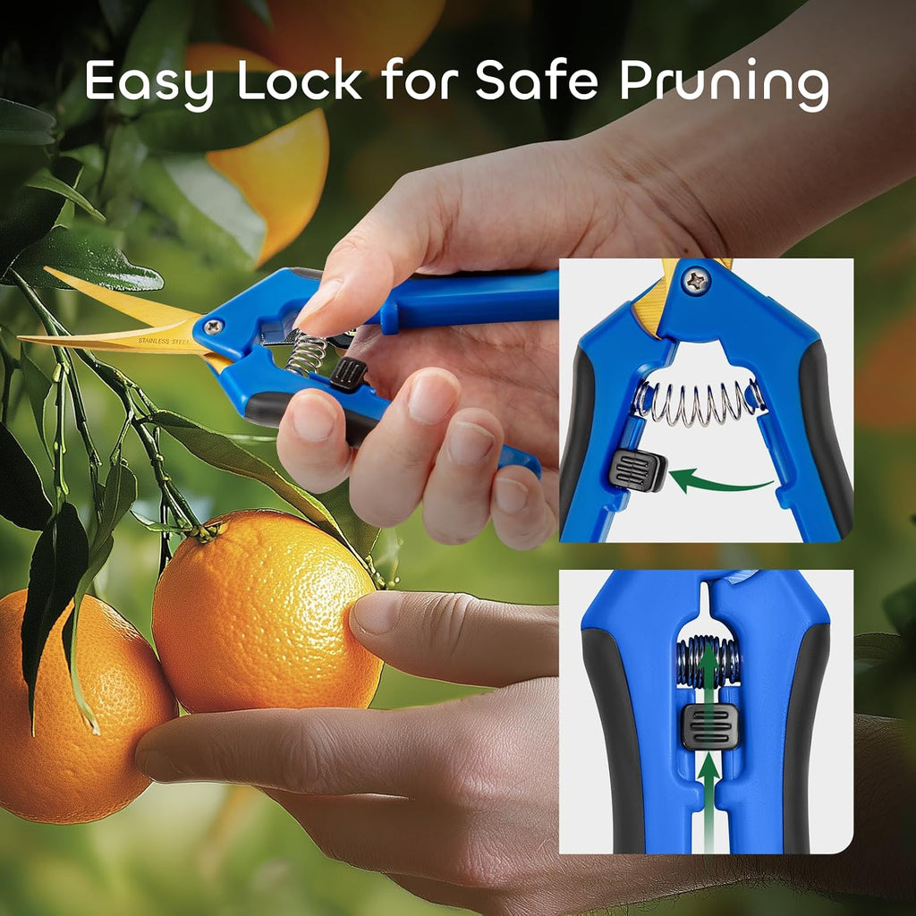 6 Packs 6.5 Inch Pruning Shears with Curved Blades Trimming Scissors For Gardening Hand Pruning Snips Titanium Coated