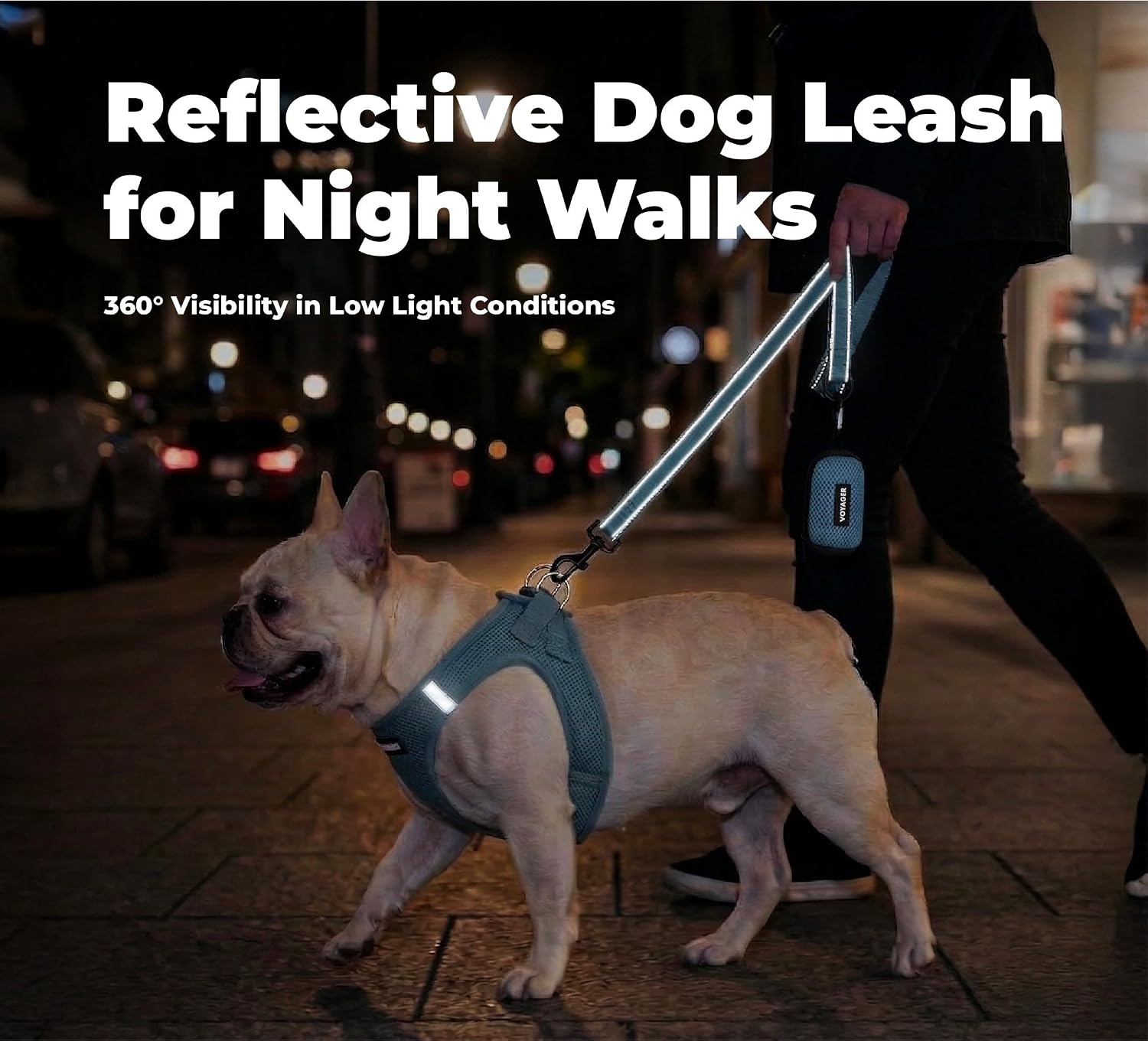 Voyager Reflective Dog Leash or Collar with Neoprene Handle, for Small, Medium, and Large Breed Puppies, Cute and