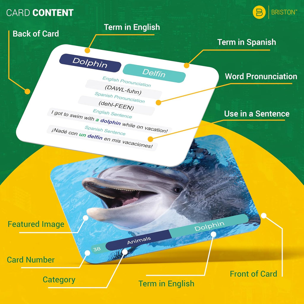 Spanish Vocabulary Flash Cards – 600 Words, Sentences & Pronunciation | Back to School Spanish vocabulary set for