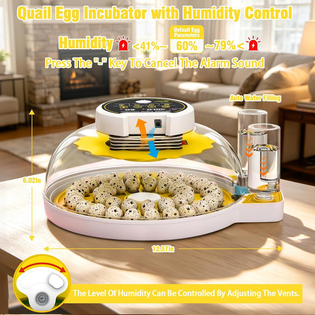 40 Quail Egg Incubator with Automatic Egg Turning Humidity Control Eggs