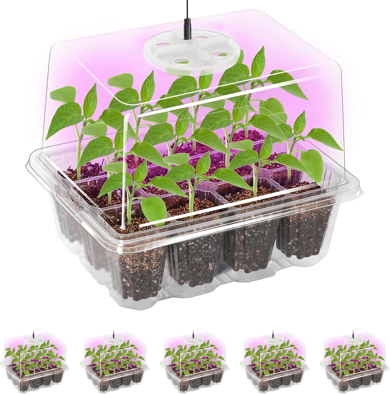 5 Packs Seed Starter Tray with Grow Light, Elevated Seedling Starter Trays Kits with Adjustable Humidity Domes and