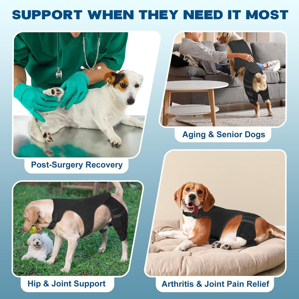 Dog Knee Brace for Torn ACL Hind Leg, Dog Leg Braces for Back Leg Support with 4 Metal Stabilizers Helps with Torn