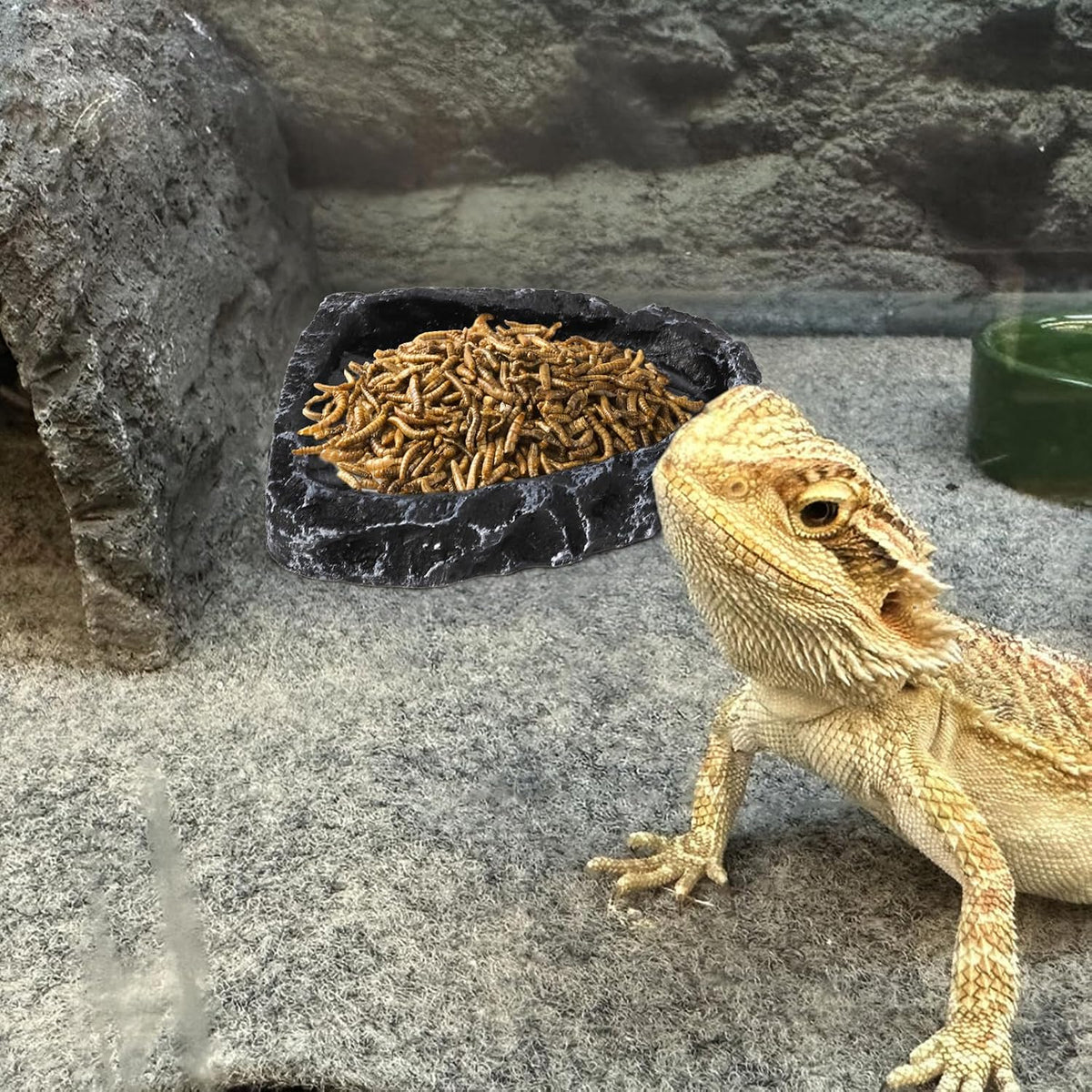 4 Pack Reptile Food Dish with Feeding Tongs, Resin Reptile Water Dish Food Bowl Feeding Terrarium Bowl for Leopard