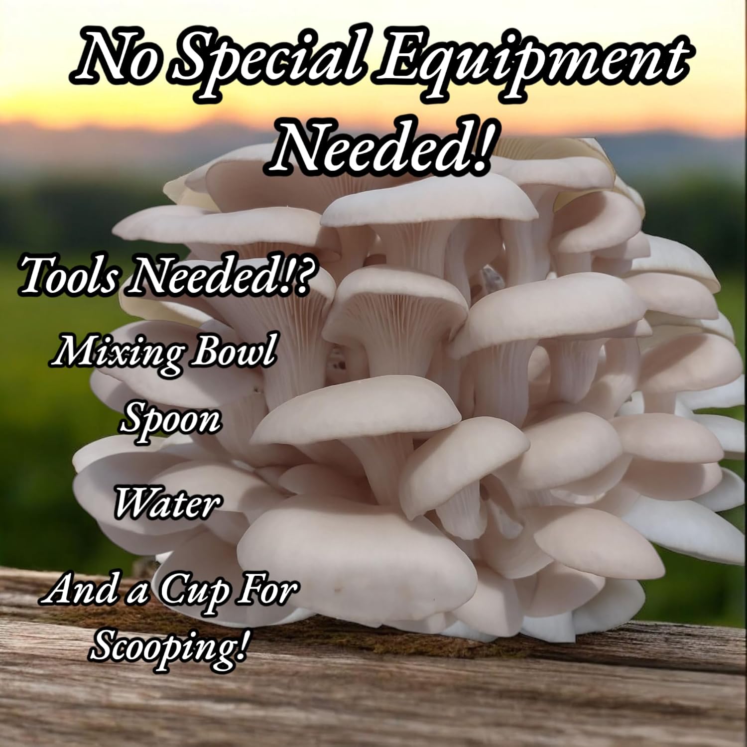 Four All in One Mushroom Grow Kits with Yellow, Blue, Florida, and Pink Oyster, Complete Cultivation Set