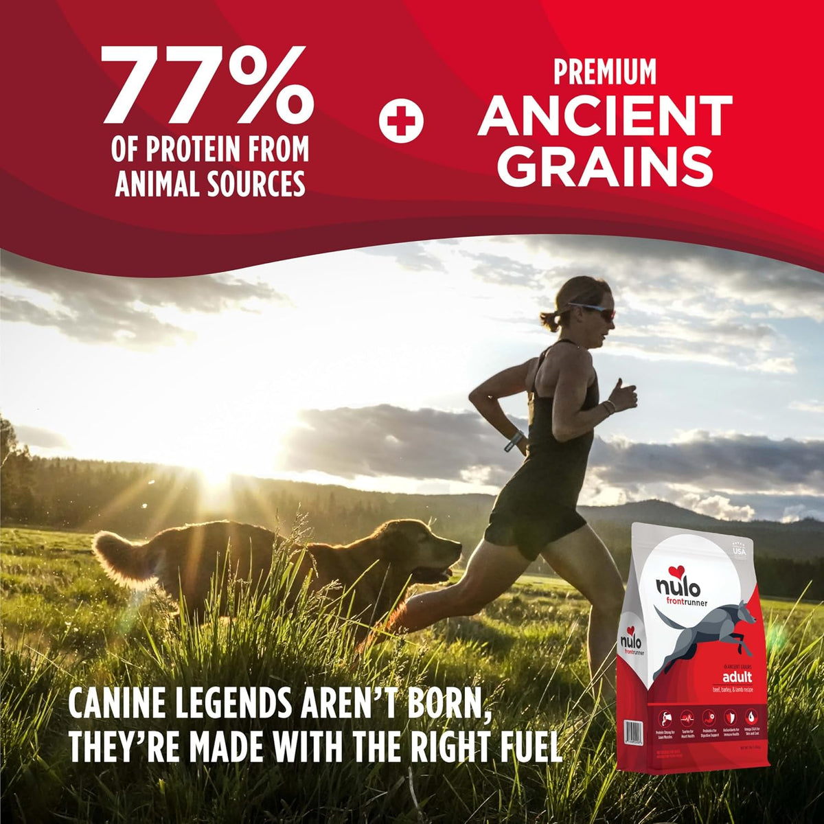 Frontrunner Dry Dog Food - Adult High-Protein Beef, Barley & Lamb Recipe, Natural Kibble with Ancient Grains