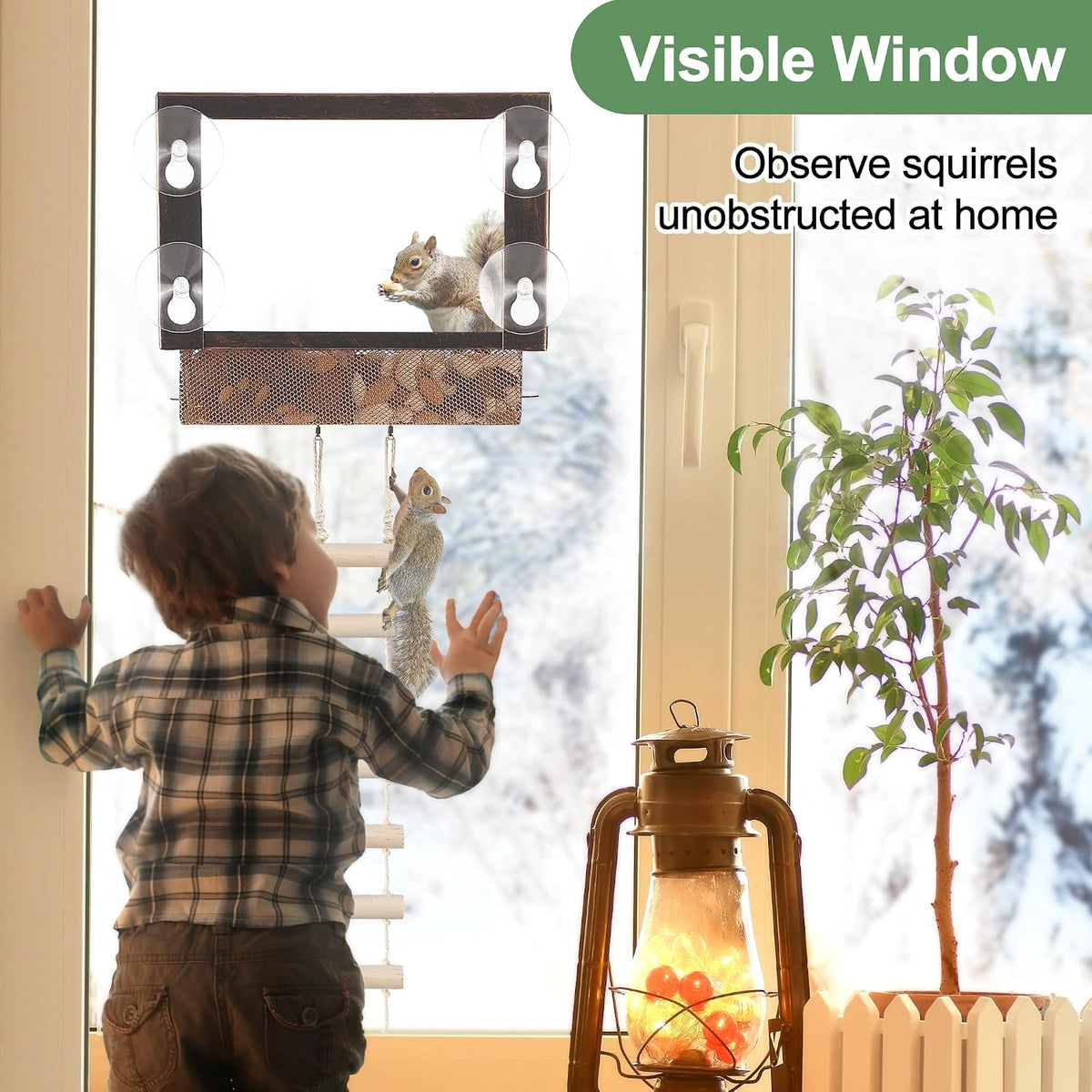 Window Squirrel Feeder, Metal, Strong Suction Cups & Ladders
