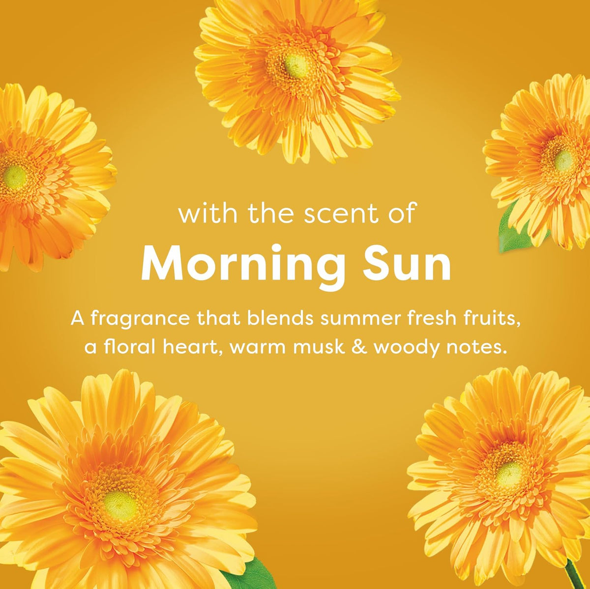 Liquid Fabric Softener, Morning Sun Scent, 105 fl oz