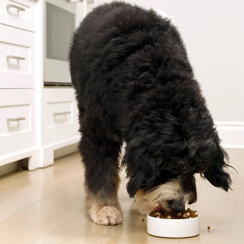 RawMix Grain-Free Dog Food, Beef, Pork & Lamb, Front Range 3.5lb