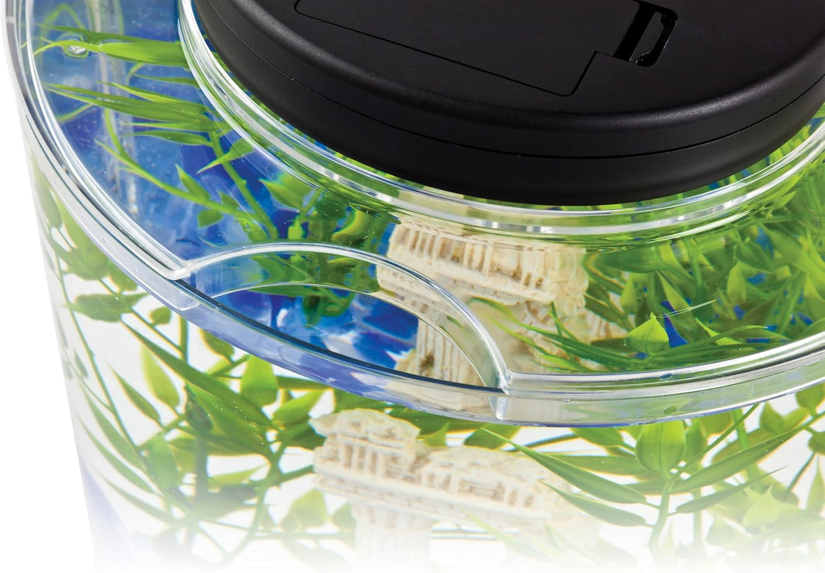 LED Half Moon 1.1 Gallon Fish Tank Kit for Betta Fish