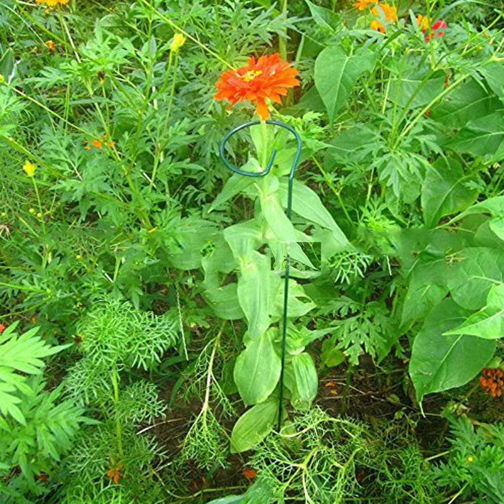 Plant Stake Support - 6 Pack, Garden Single Stem Support Stake Plant Cage Support Rings, Single Stem Plant Support