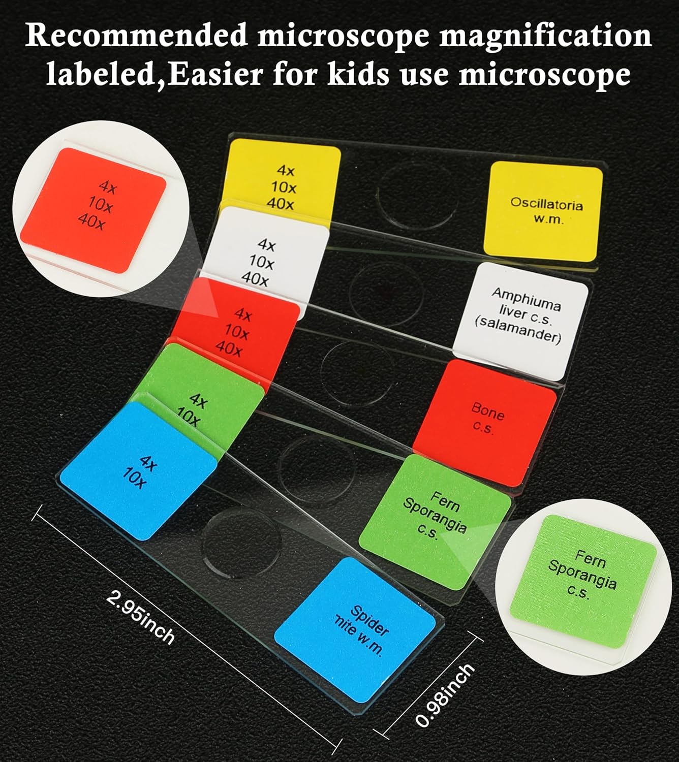 120 Microscope Slides with Specimens Set, Lab-Grade Prepared Microscope Slides for Kids Adults