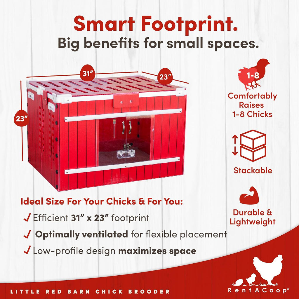 Little Red Barn Chick Brooder