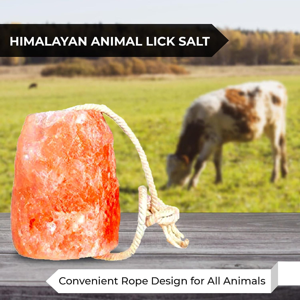 Himalayan Pink Salt Licks for Animals – Natural Salt Block with Rope for Horses, Cows, Deer & More – No Harmful