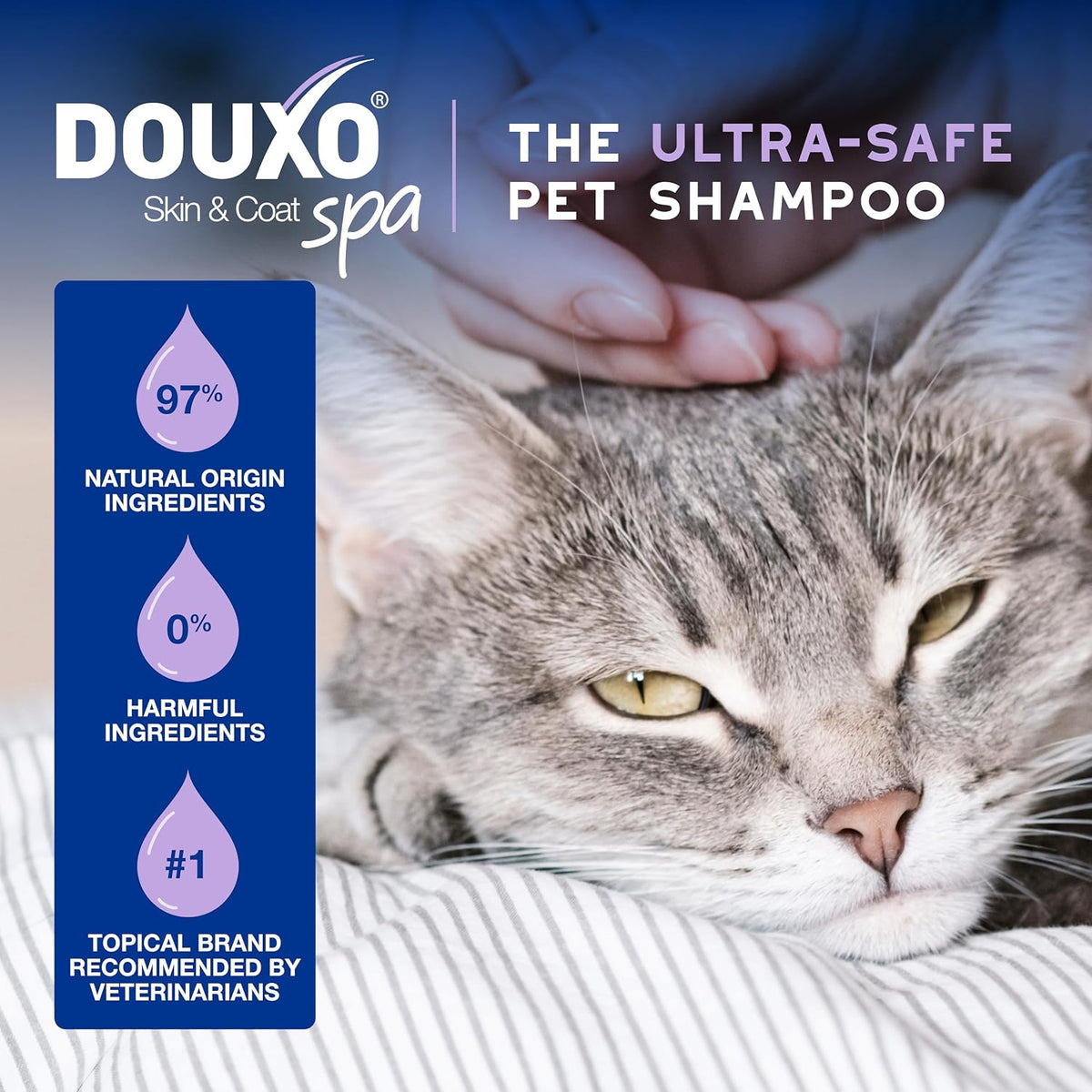 SPA Waterless Cat Shampoo, 10 fl oz