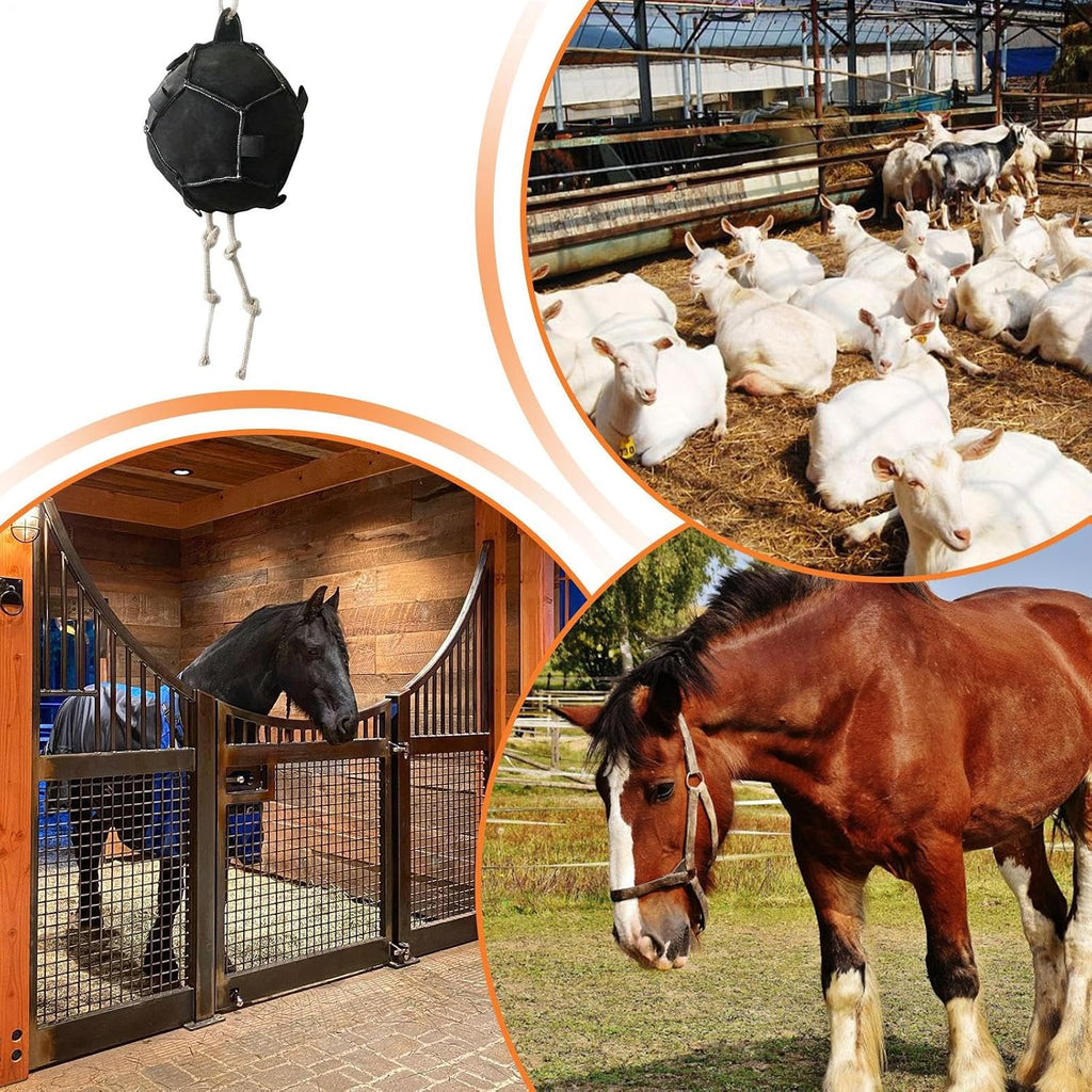 Equine Treat Ball - Slow Feed Toy for Horses | BPA Free Heavy Duty Material with Rolling Design, Dispenses Snacks