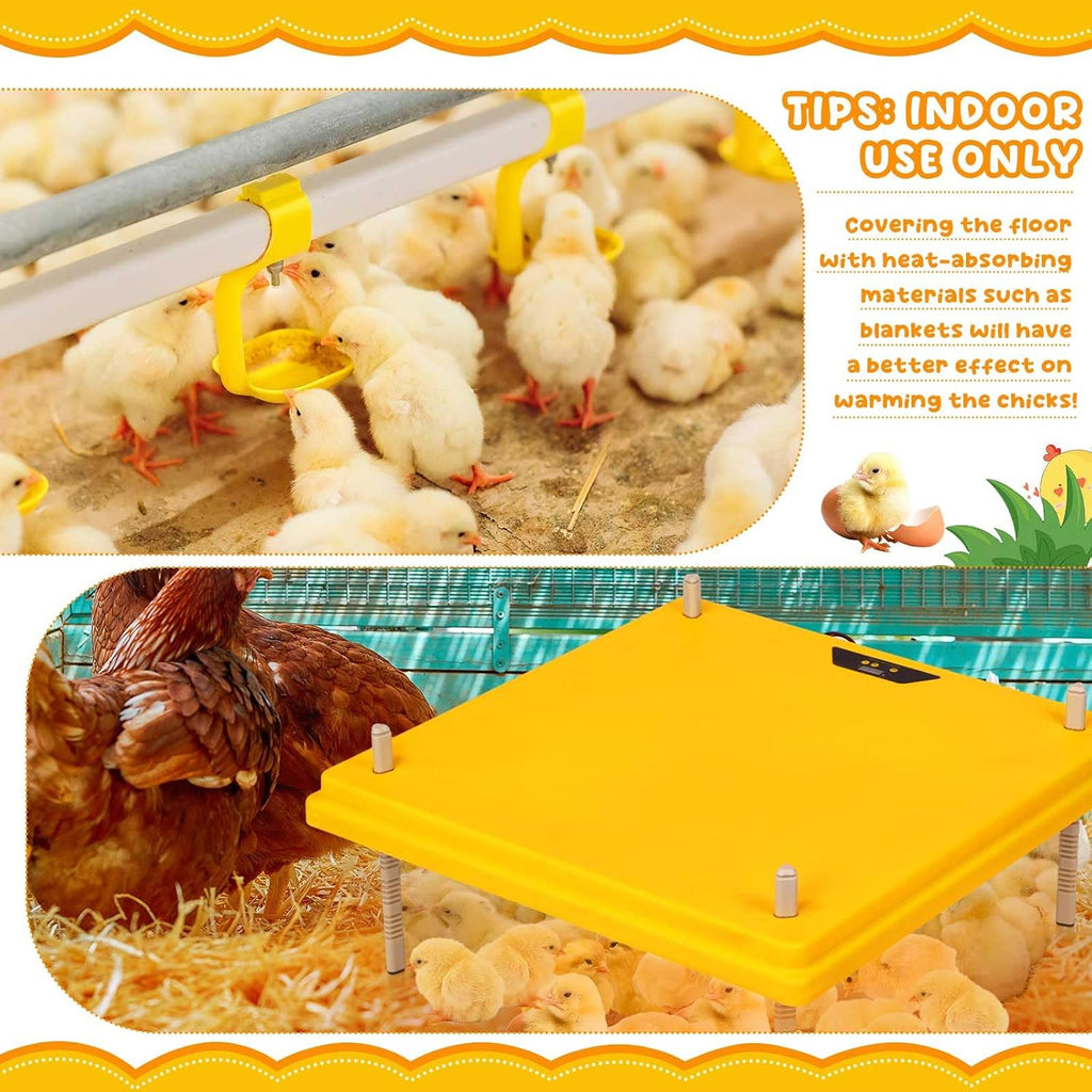 20" x 20" Extra Large Brooder Heater for Chicks