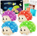 Crystal Growing Kit for Kids - 4 Colors Hedgehog to Grow Fast in (24H),Science Experiments Learning & Educational