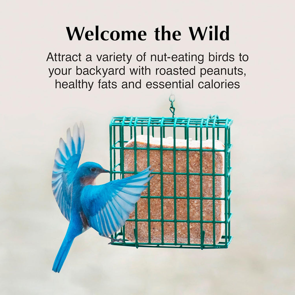 Peanut Butter Delight No Melt Suet Dough, Suet Cakes for Wild Birds | Peanut Butter suet, year-round no melt formula