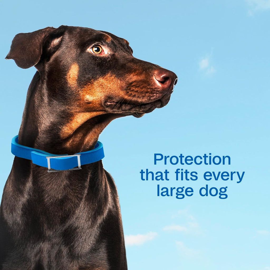 Plus Flea & Tick Collar for Dogs, 7-Month Prevention, 1 Count