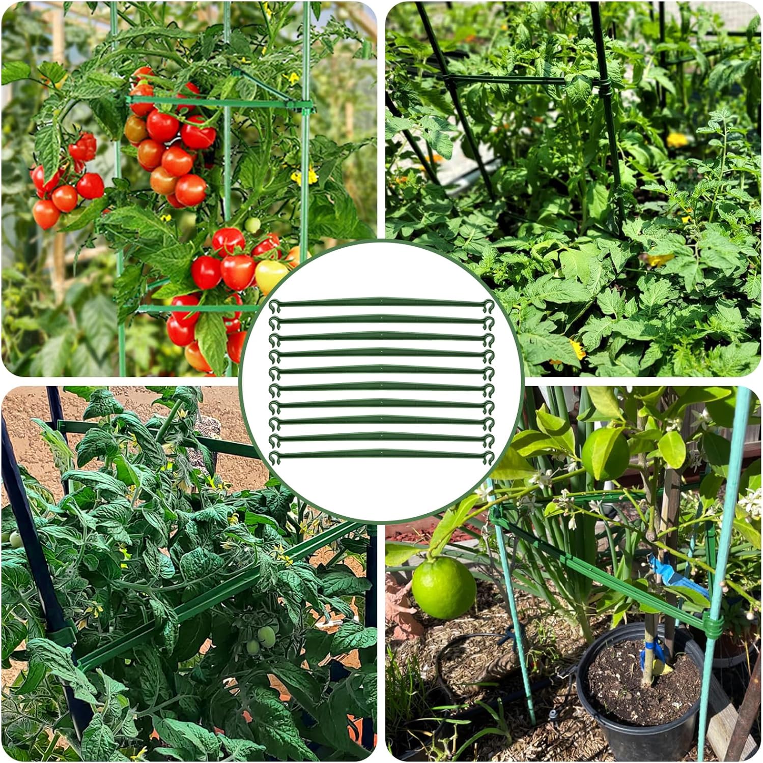 100 Pcs Plant Stake Arms for Tomato Cage, 11.8” Expandable Plant Supports Trellis Connector with 2 Buckles for 11mm