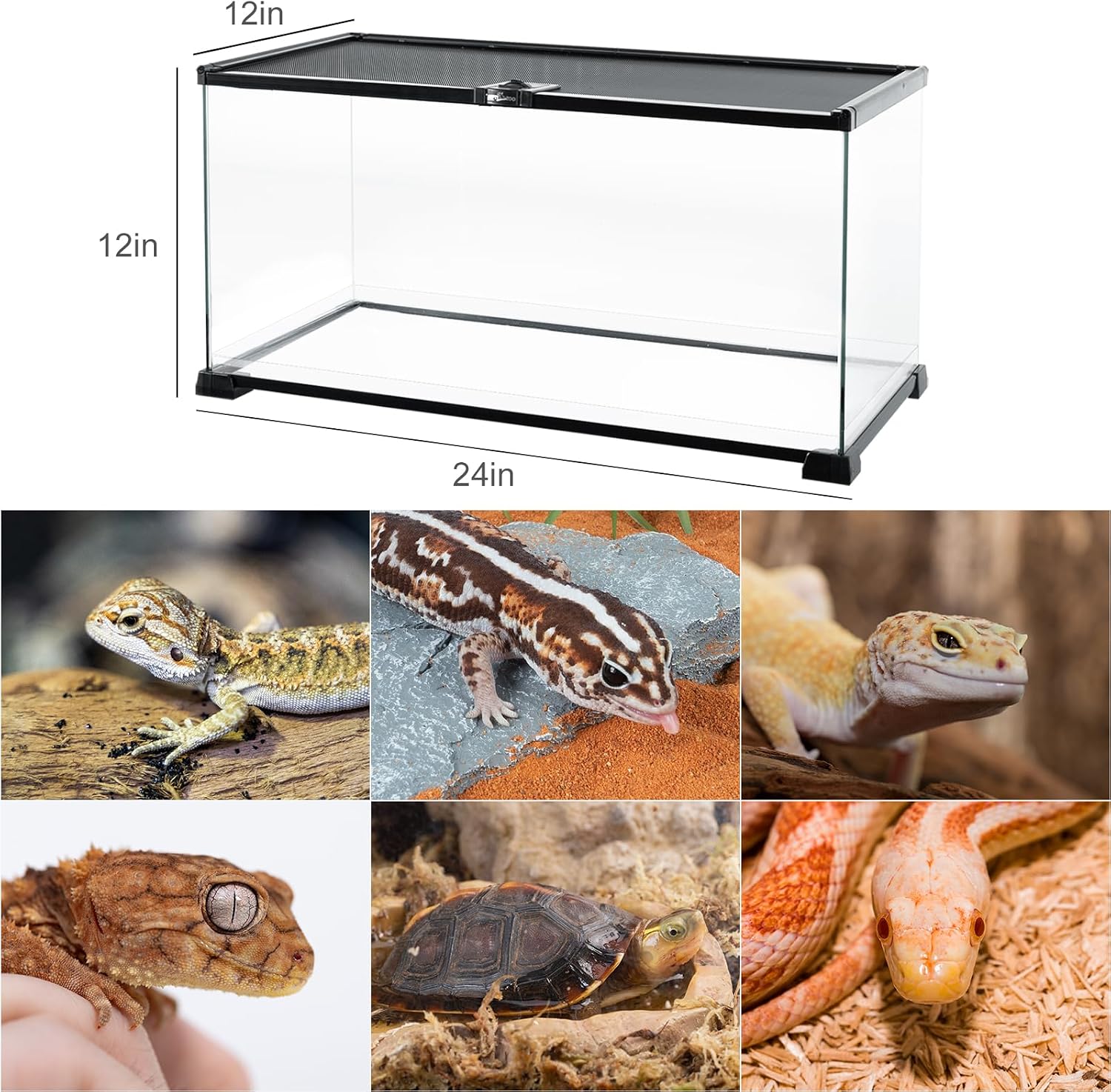 Full Glass 15 Gallon Reptile Tank, Medium Reptile Terrarium 24" X 12" X 12" for Gecko Hermit Crab Hognose Snake etc