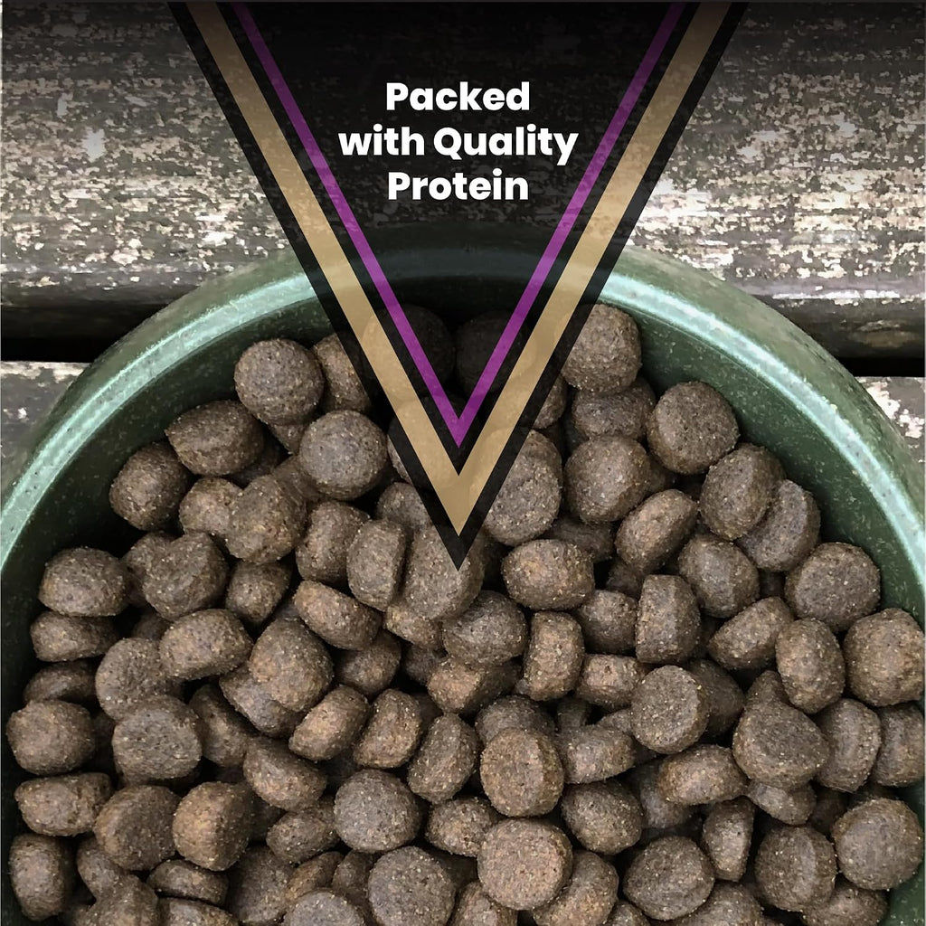 Professional Dry Dog Food - Gluten-Free Active Dog Kibble, 30 lb
