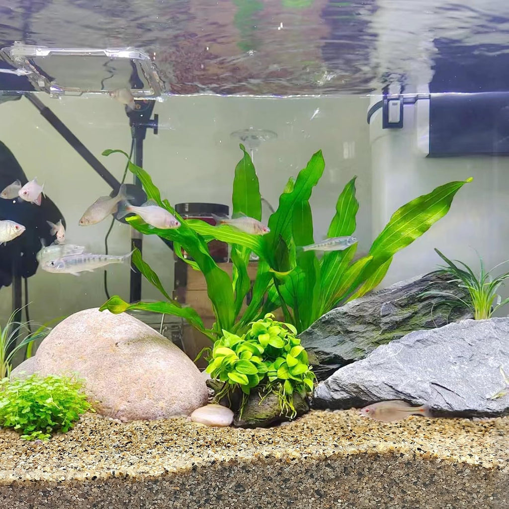 5 lbs Aquarium Sand, 0.6-1.2 mm Aquarium Substrate for Freshwater Fish Tank. Decorative River Rocks Gravel for Fish