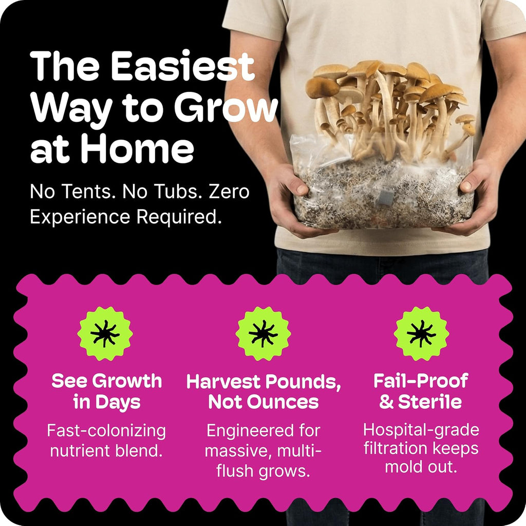 Mushroom Grow Kit – All-in-One 2LB Grow Bag with Self-Healing Port – Fast-Colonizing Universal Substrate for Any