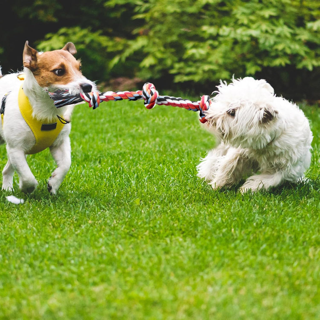 Dog Rope Toy 4 Pack - Puppy Teething Toys for Small Breed - Indestructible Dog Chew Toys for Aggressive Chewers