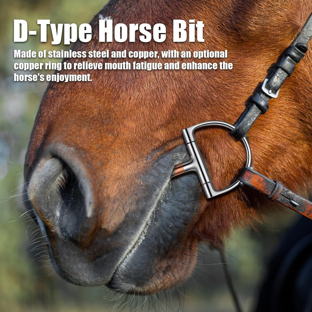 Stainless Steel Ring O & d Snaffle Bit for Horses