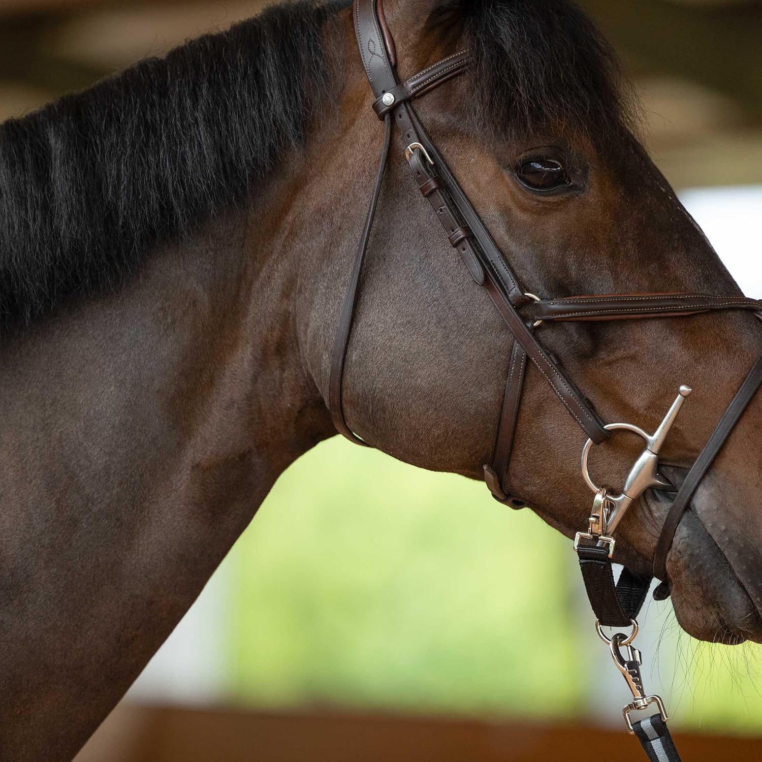 Lunging Strap for Horse Lunge Line - Black - Horse