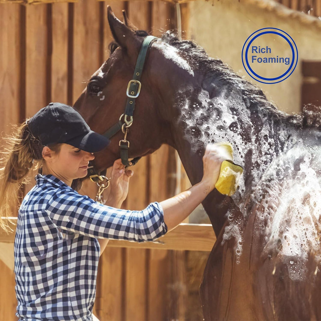 Horse Grooming Kit, Pink Storage Bag with 10 Piece Professional Equestrian Care Tools, Brushes, Combs, Scraper and