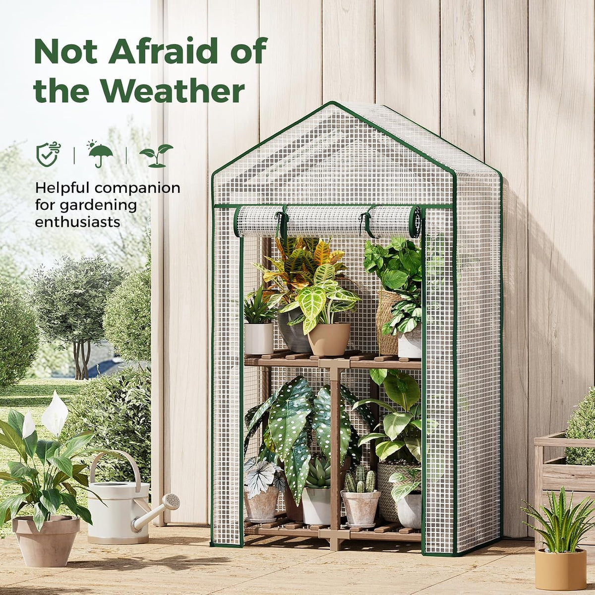 Mini Greenhouse Indoor Small Portable 2-Tier Green House for Seed Starting Plant Grow Warmer and Home Gardening Display