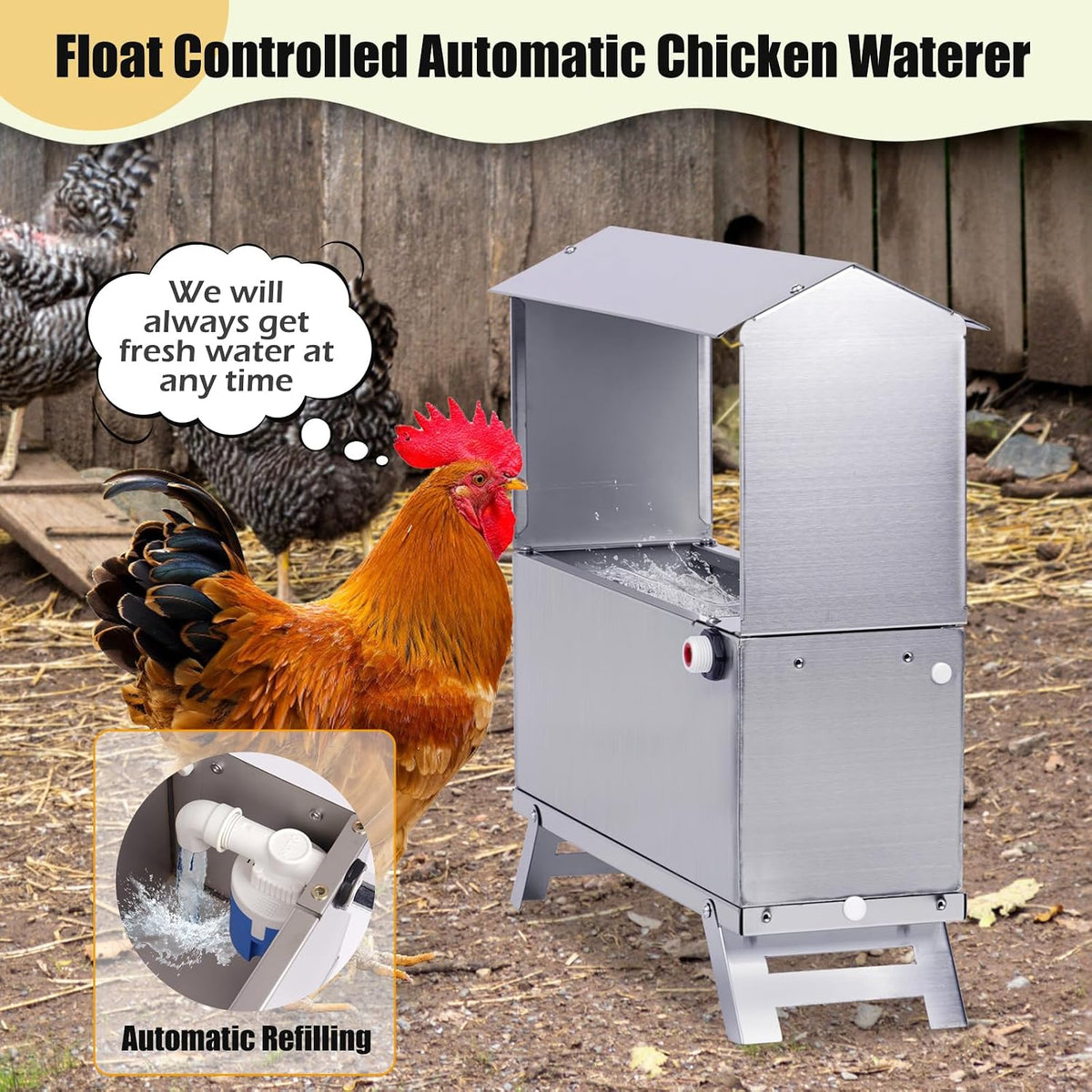 Stainless Steel Automatic Chicken Waterer, Hands-Free Hydration