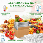 4 Pack Insulated Shipping Boxes for Frozen Food with Ice Packs, S