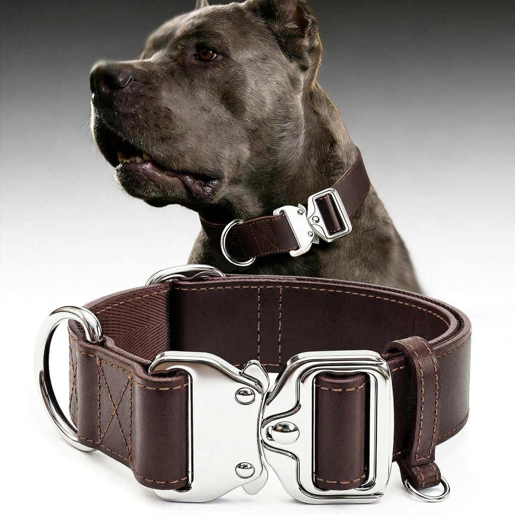 Leather Dog Collar 1.5in Wide, Quick-Release and Adjustable Design, Bn-Sl-L