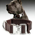 Leather Dog Collar 1.5in Wide, Quick-Release and Adjustable Design, Bn-Sl-L