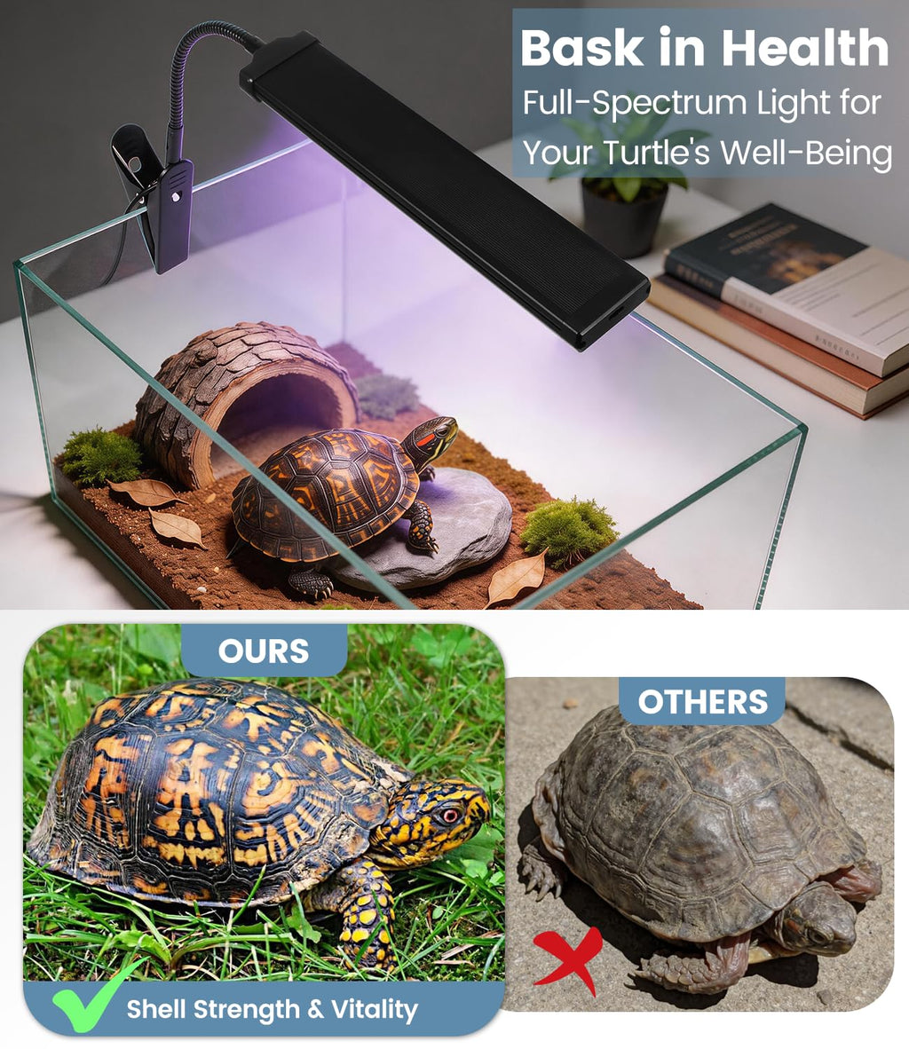 UVB Light for Reptiles with Timer, 10.0 UVB for Turtle, Bearded Dragon