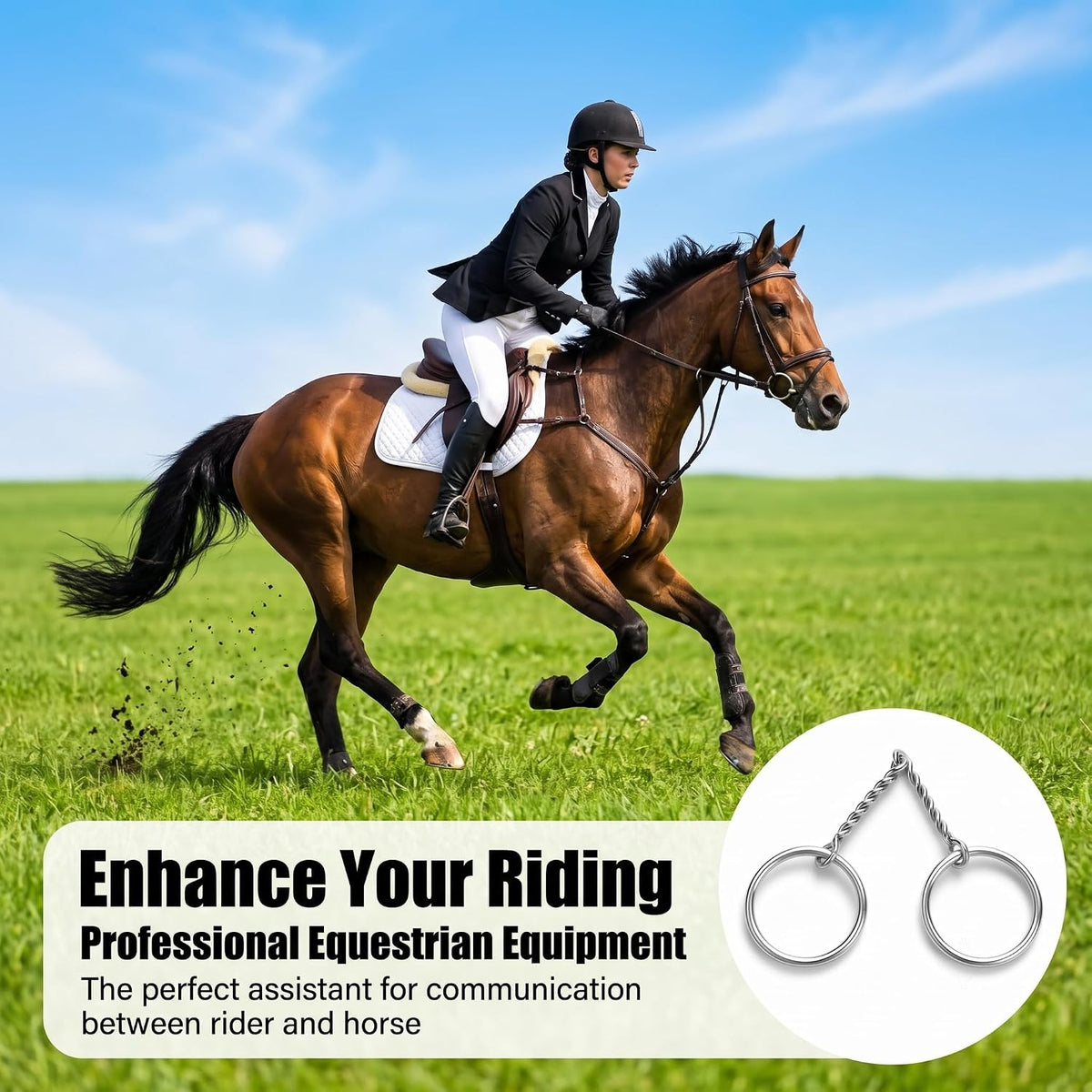 O Ring Snaffle Bit for Horses, Stainless Steel Copper Roller