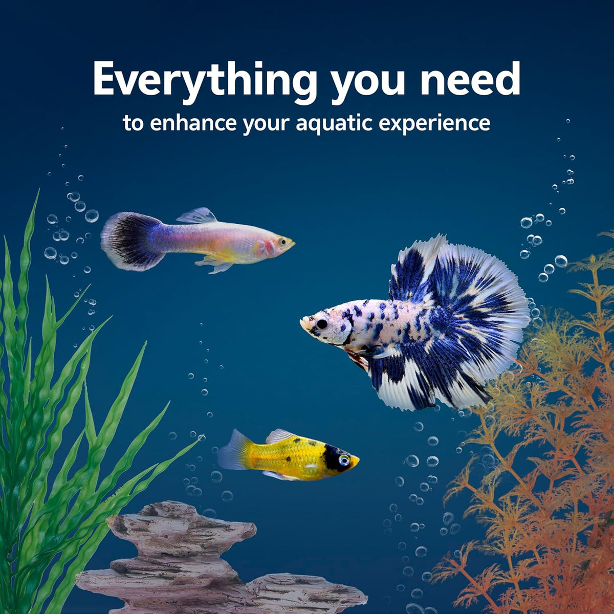 Aquarium Starter Kit with Smart Clean Filtration and LED Lighting, Freshwater and Saltwater Fish, 20-Gallon