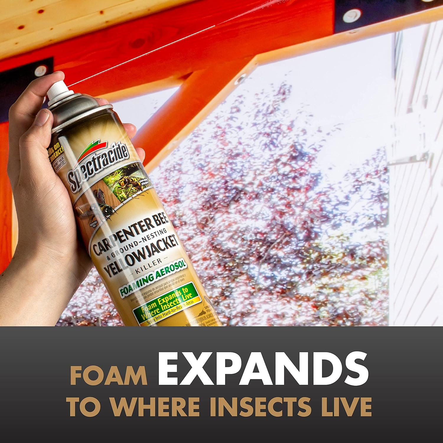 Carpenter Bee & Gound-Nesting Yellowjacket Killer 16 Oz, 3 Pack | Foaming Aerosol Kills on Contact, Expands To Where