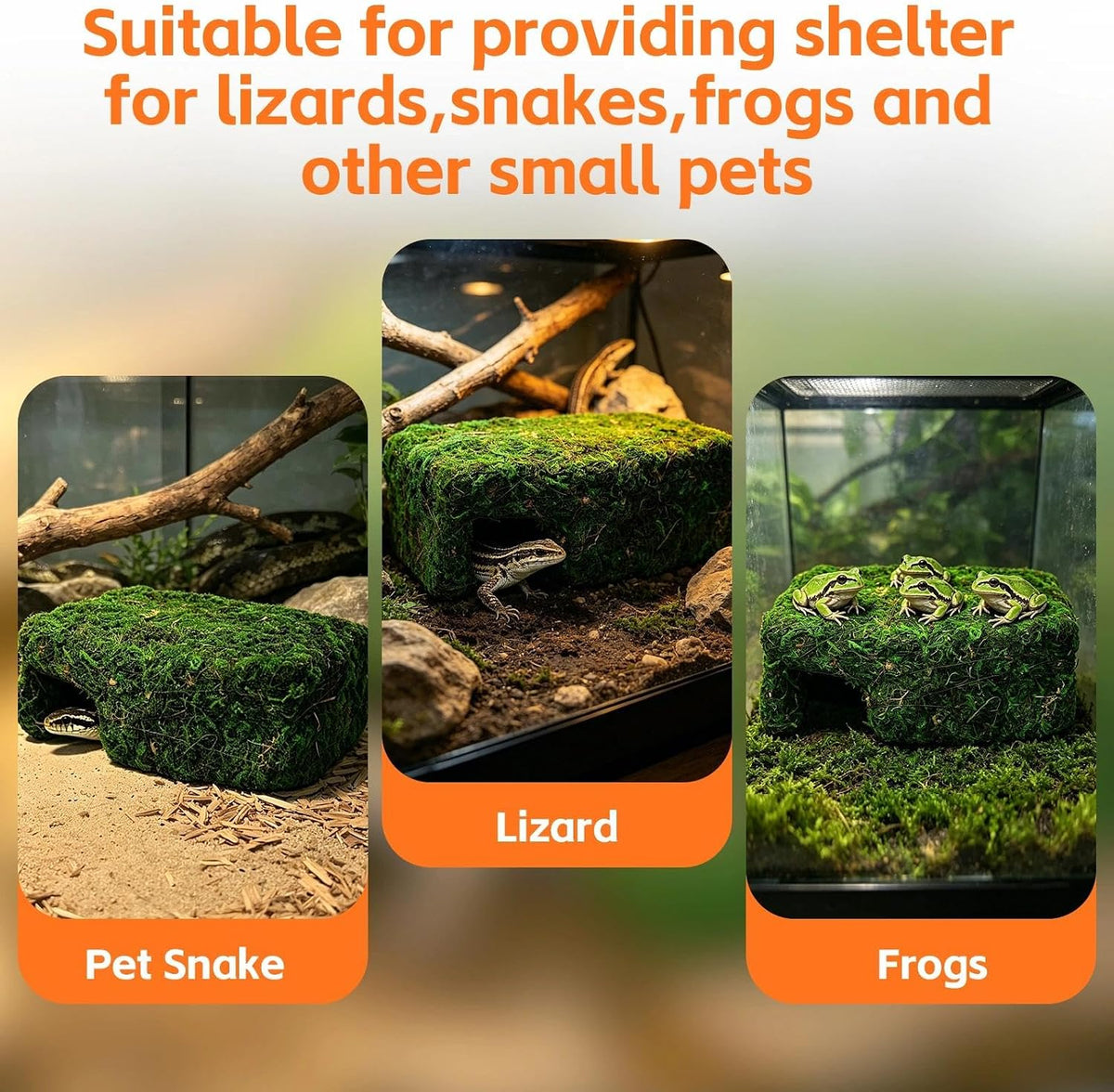 Small Green Reptiles Cave Hideout, Lizard Moss Hide