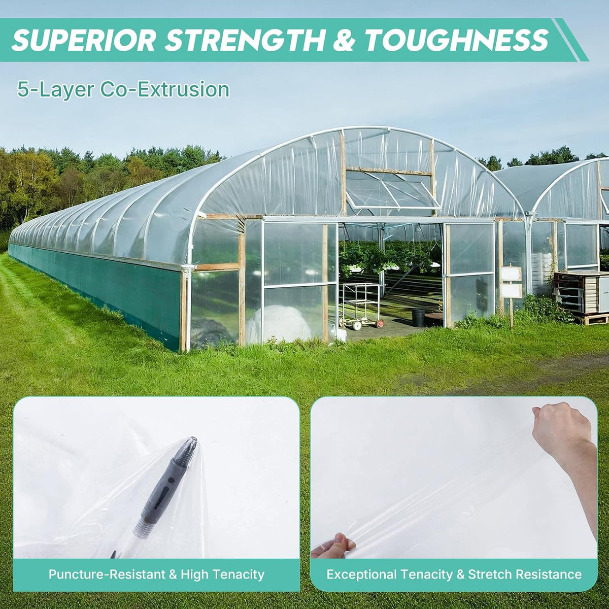 Greenhouse Plastic Sheeting, 12FT x 25FT 6 Mil UV Resistant