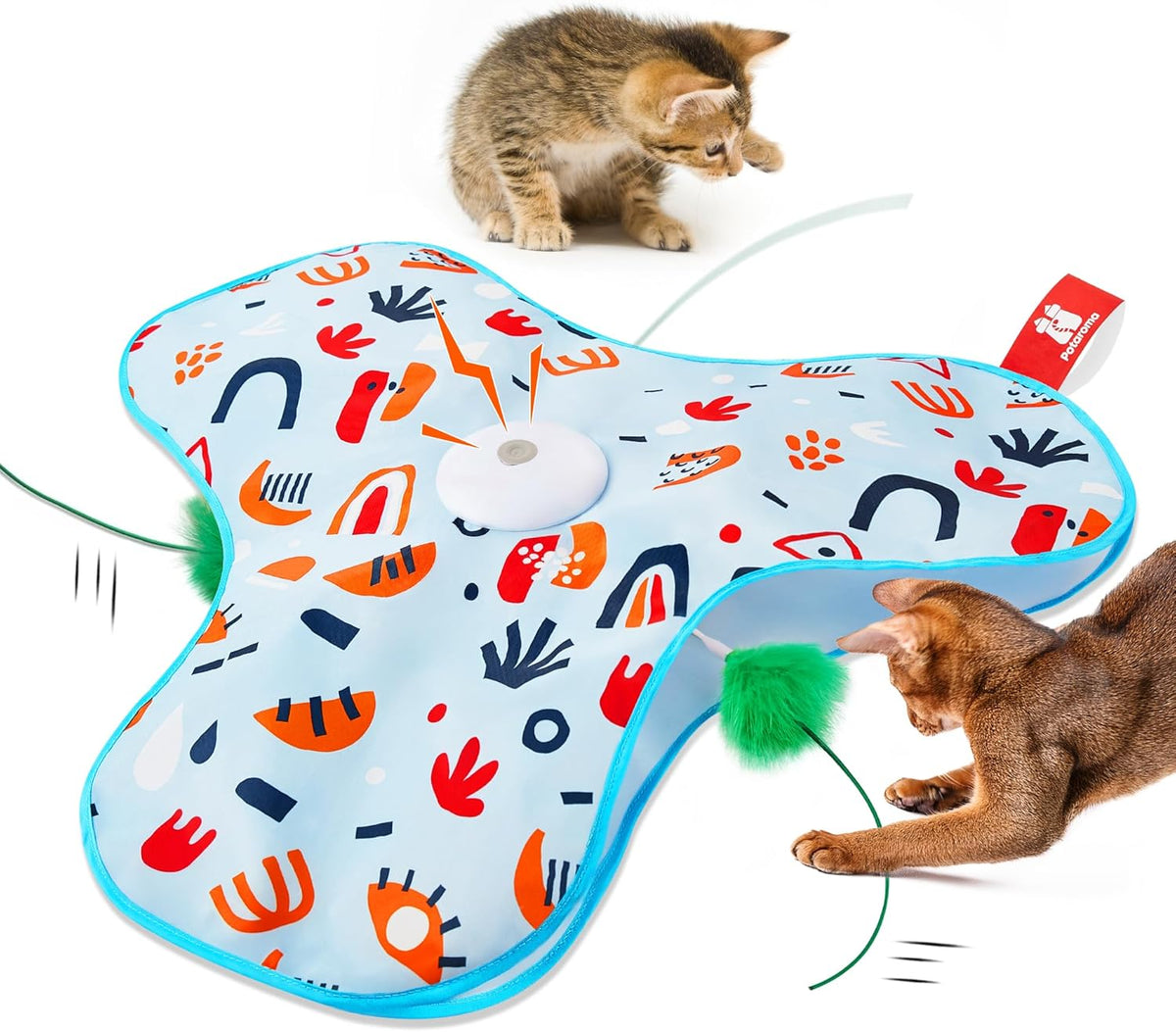 Hide and Seek Interactive Cat Toys