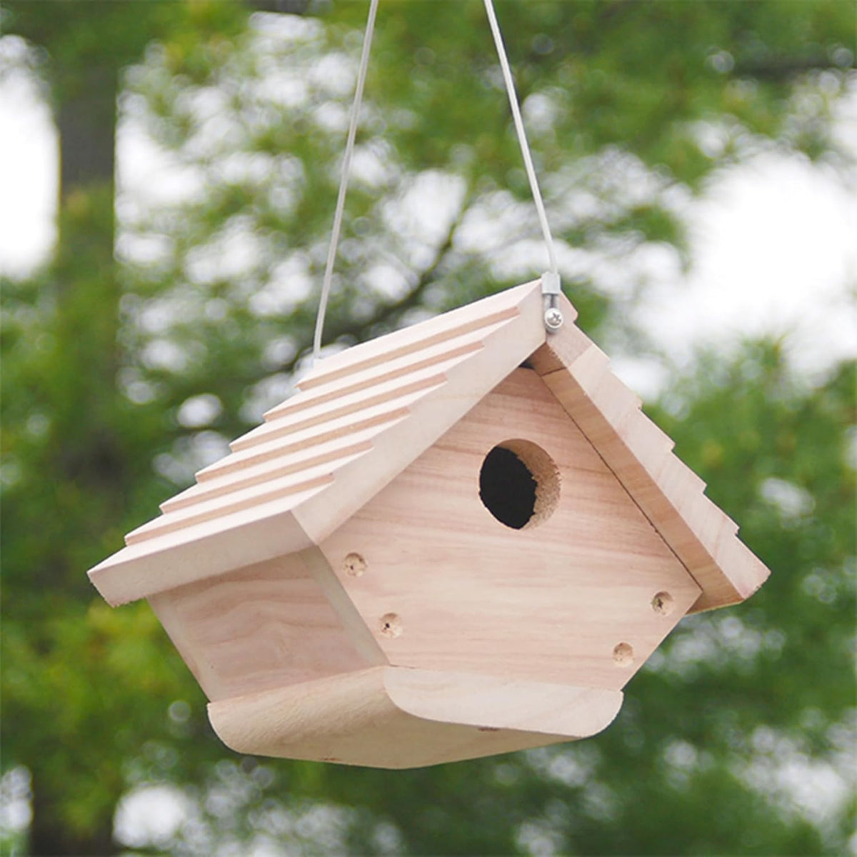 Classic Hanging Wren House